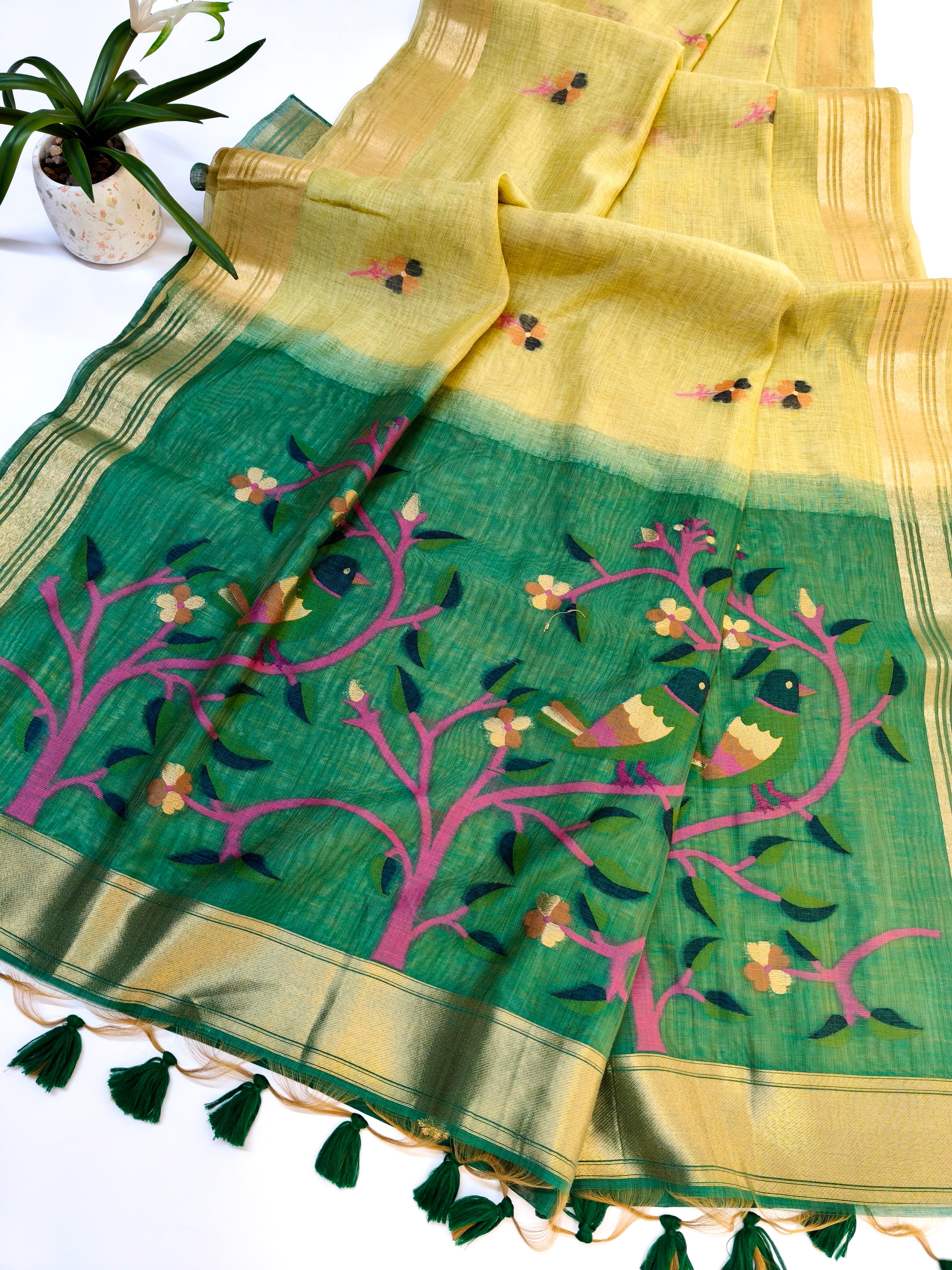 Muga Cotton Saree With Paithani Pattern - PISTA